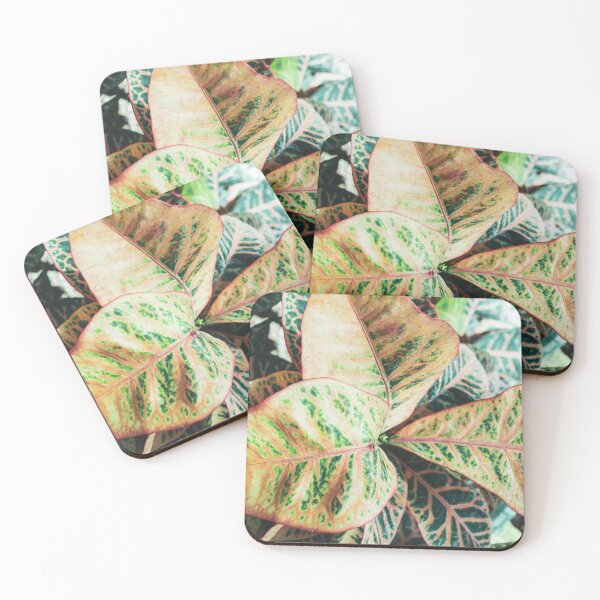 Item preview, Plants designed and sold by simoneridi.
