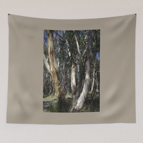 Item preview, A Group Of Eucalypt Trees designed and sold by lezvee.