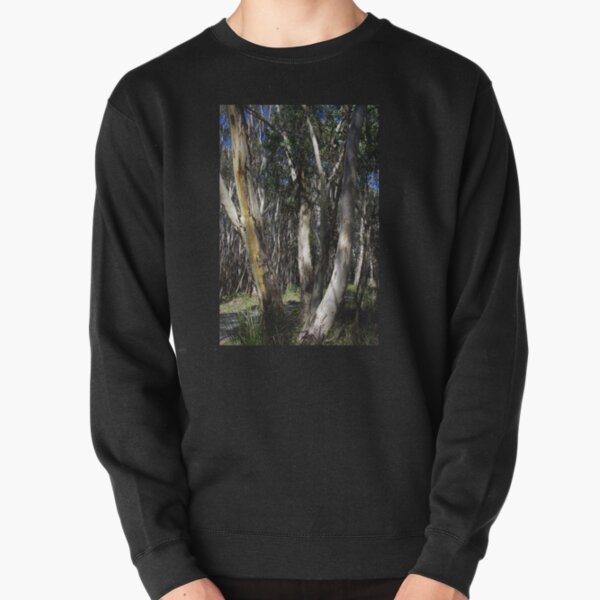 A Group Of Eucalypt Trees Pullover Sweatshirt