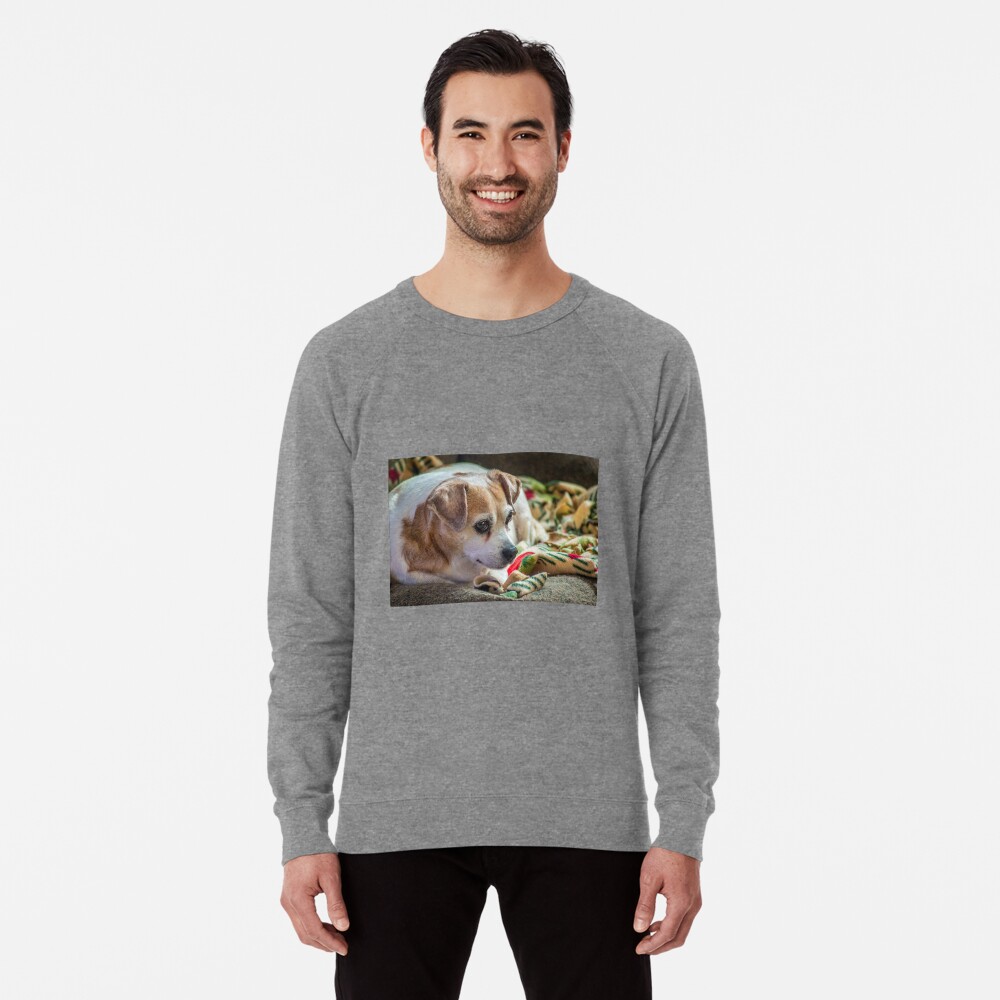 Item preview, Lightweight Sweatshirt designed and sold by jwwalter.