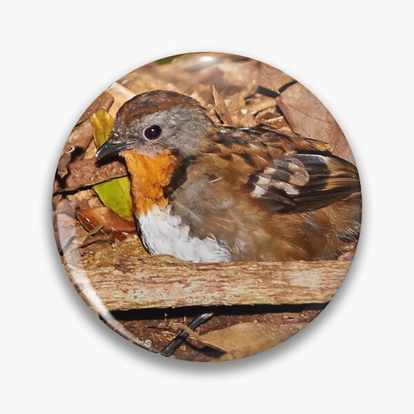 Item preview, Southern Logrunner designed and sold by Robert Elliott.