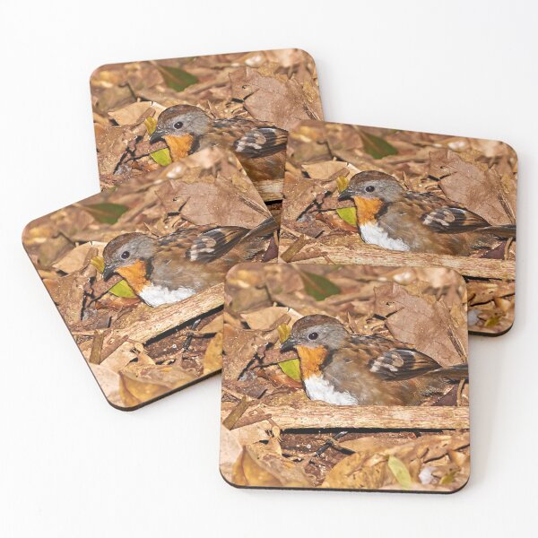 Item preview, Southern Logrunner designed and sold by Robert Elliott.