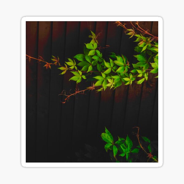 Green shoots. Sticker