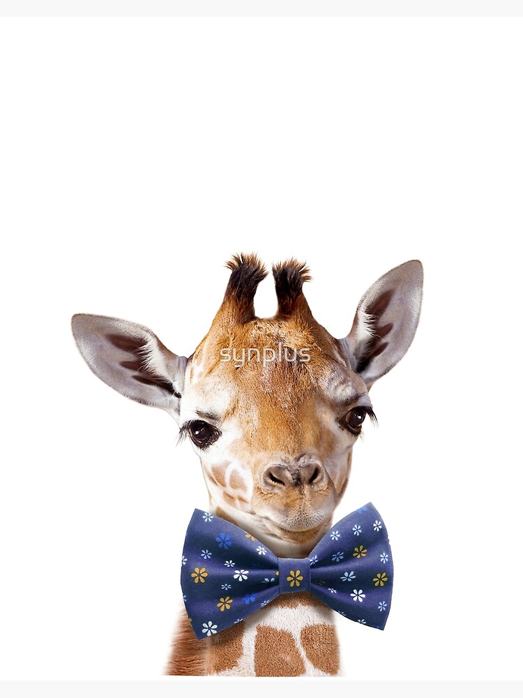 giraffe with bow tie