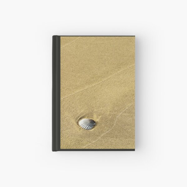 Item preview, Small shell on beach designed and sold by Dexterityphotos.