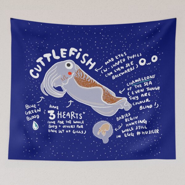 Item preview, Cuddlefish designed and sold by littleredcheeks.
