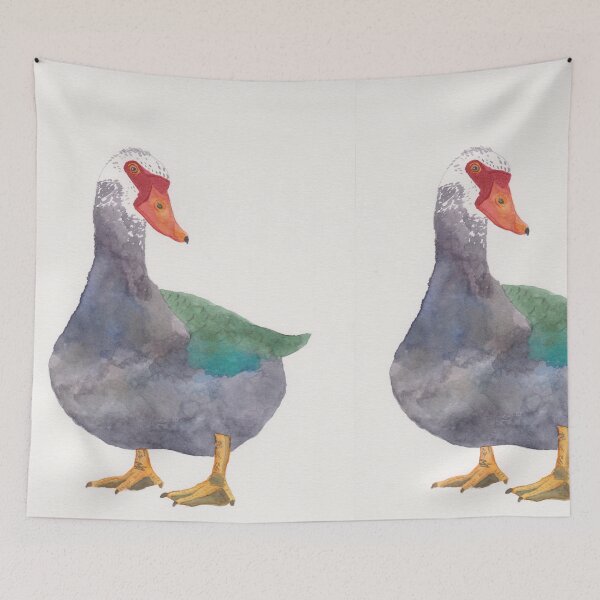 Item preview, Muscovy Duck watercolor bird painting designed and sold by TheWaterBirds.