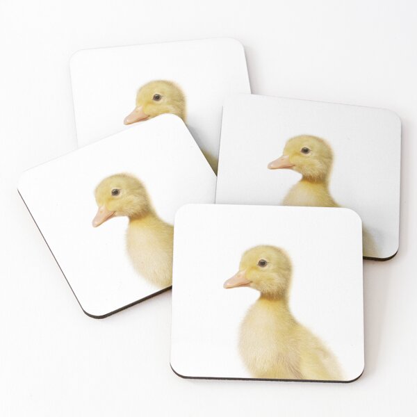 Artikelvorschau, Baby Duckling Kunstdruck von Zouzounio Art entworfen und verkauft von zouzounioart.