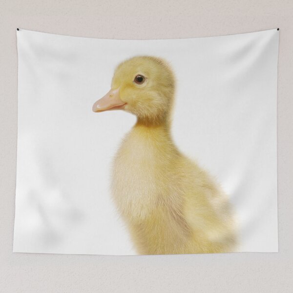 Artikelvorschau, Baby Duckling Kunstdruck von Zouzounio Art entworfen und verkauft von zouzounioart.