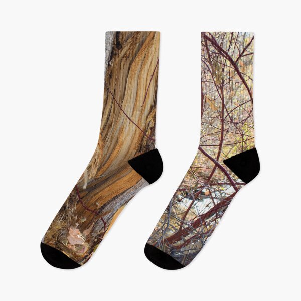 Item preview, Colorful autumn woods  designed and sold by Ventures1.