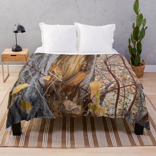Item preview, Colorful autumn woods designed and sold by Ventures1.
