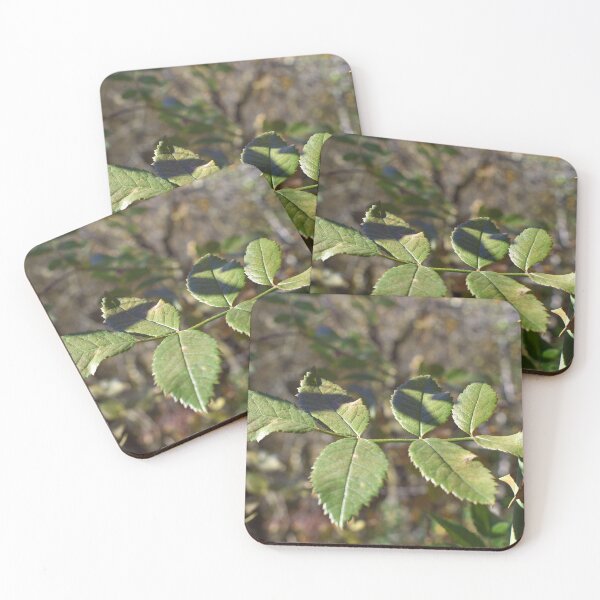 Item preview, Colorful autumn woods  designed and sold by Ventures1.