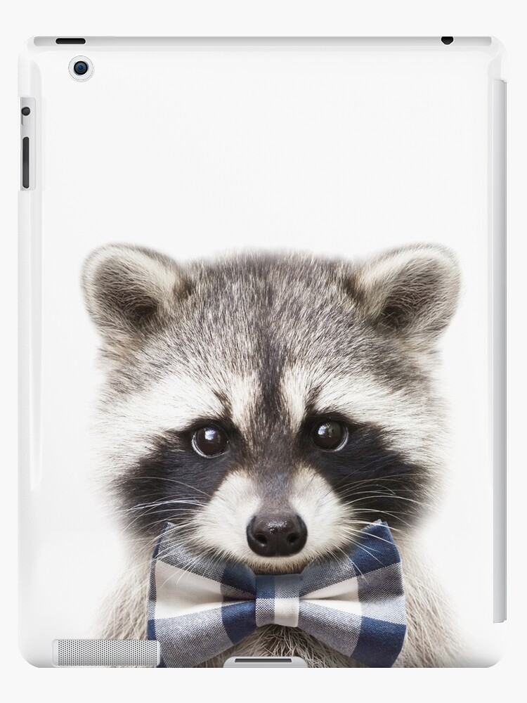 Coque Et Skin Adhesive Ipad Bebe Raton Laveur Avec Nœud Papillon Impression D Art Bebe Animaux Par Synplus Par Synplus Redbubble