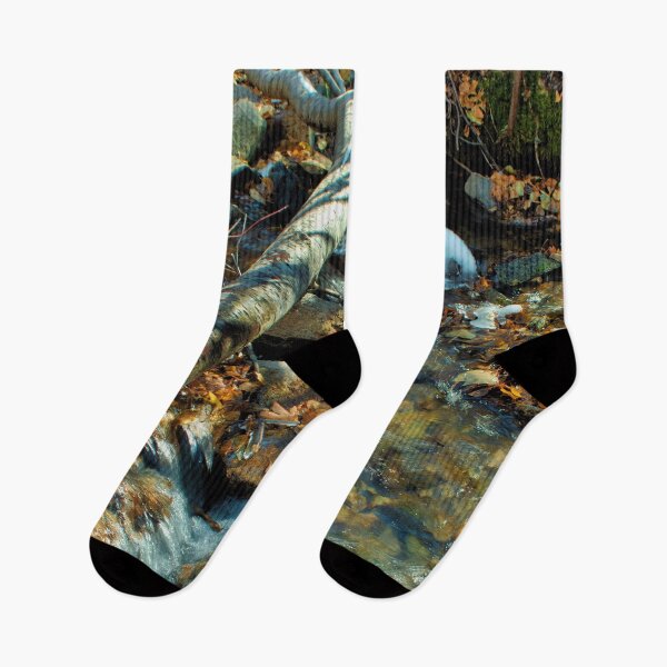 Item preview, Colorful autumn woods  designed and sold by Ventures1.