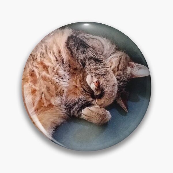 Item preview, Not Havin' It. Not Today. No. Talk to the paw. designed and sold by Sarah Snow Scott.