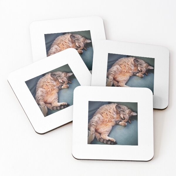 Item preview, Not Havin' It. Not Today. No. Talk to the paw. designed and sold by Sarah Snow Scott.