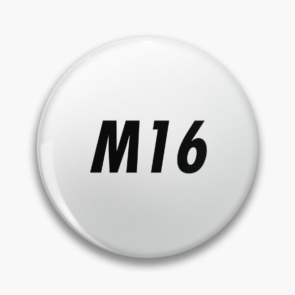 Item preview, M16 designed and sold by WarGear.