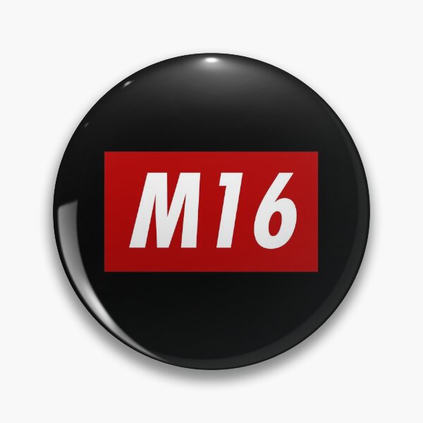 Item preview, M16 designed and sold by WarGear.