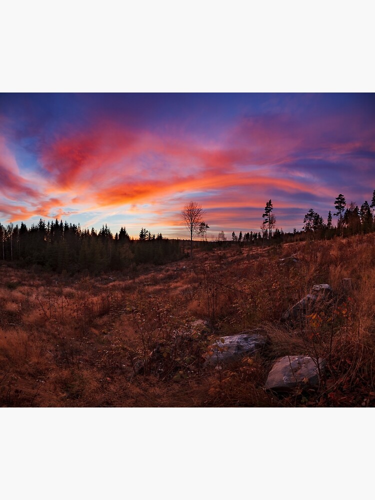 Beautiful vibrant sunset clouds landscape by Juhku