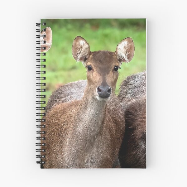 Item preview, Deer designed and sold by sandraanderson.
