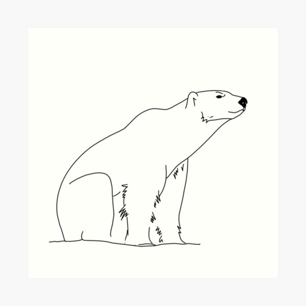 Illustrated Polar Bear Facts for Kids - studiotuesday