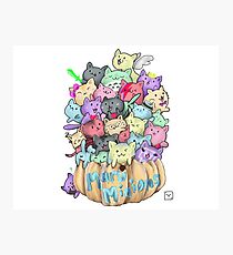 Maru Minions Photographic Print