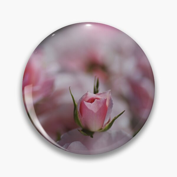 Item preview, Rose Bud Has Rested designed and sold by Joy Watson - Natural Light Photography .