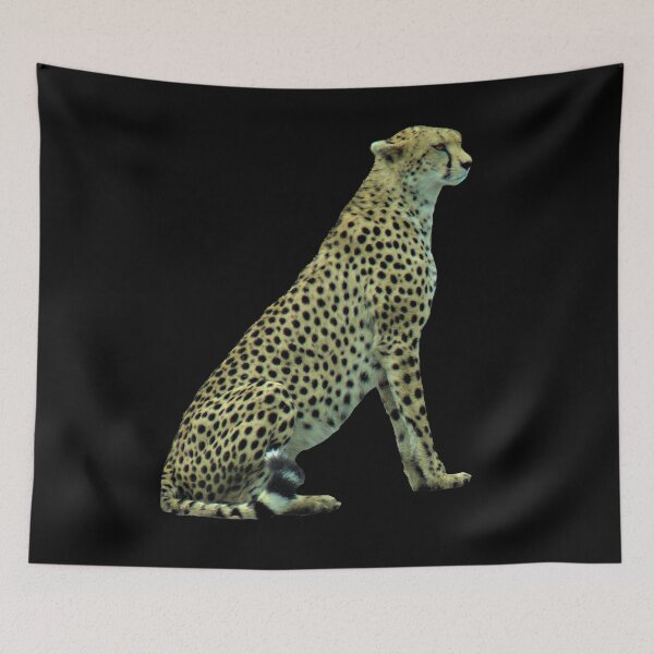 Aperçu de l'œuvre Guépard - Big Cat - Chat - Big Cat - Kenya / Afrique créée et vendue par TShirtsundMehr.