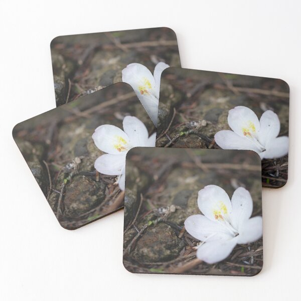 Item preview, Blossom designed and sold by akiobsession.