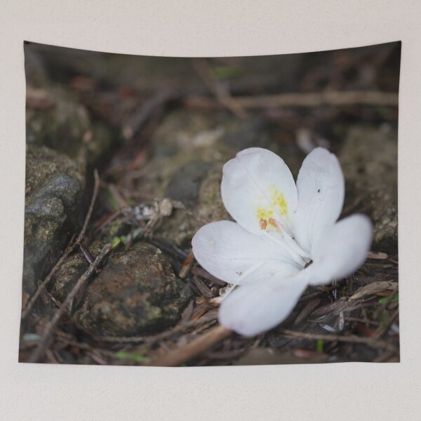 Item preview, Blossom designed and sold by akiobsession.