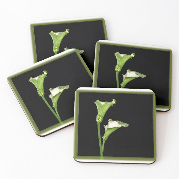 Item preview, Goddess Lily designed and sold by Bevlyn.