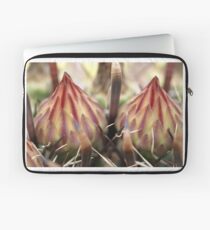 DRAGON Eggs Laptop Sleeve