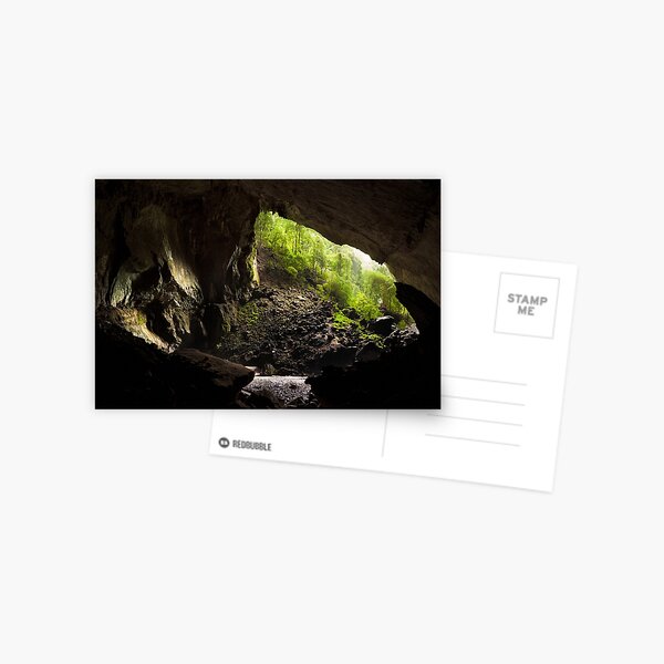 Deer cave gunung mulu national park Postcard