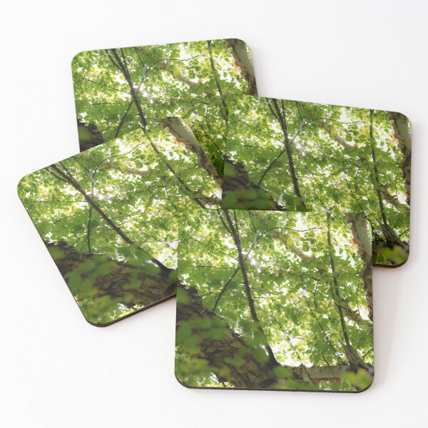Item preview, Birch Branches designed and sold by akiobsession.