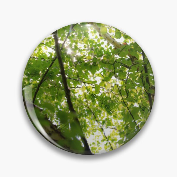 Item preview, Birch Branches designed and sold by akiobsession.