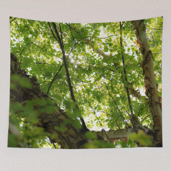 Item preview, Birch Branches designed and sold by akiobsession.