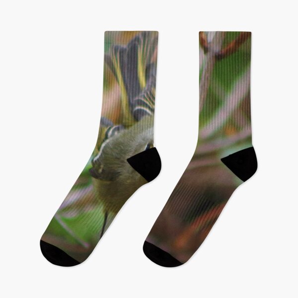 Item preview, Ruby Crowned Kinglet designed and sold by EyeMusic.