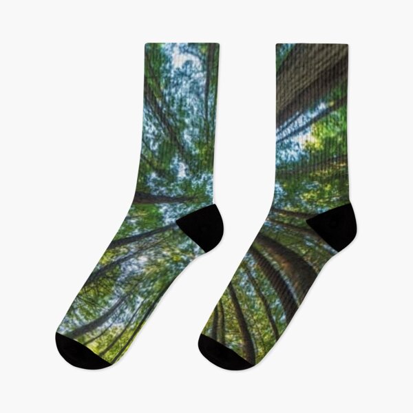 Item preview, Majestic giant redwood tree  designed and sold by Rritu.