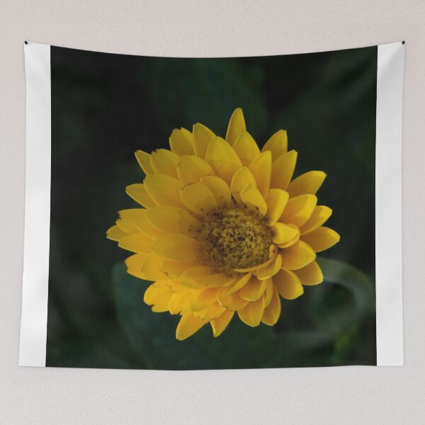 Item preview, Bright Day designed and sold by akiobsession.