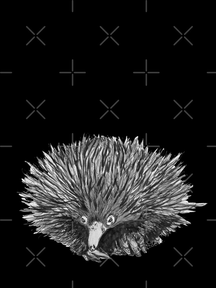Spike the Echidna by Wildcard-Sue