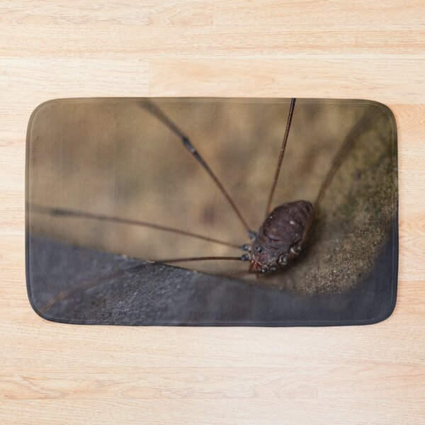 Item preview, Daddy Long Legs designed and sold by akiobsession.