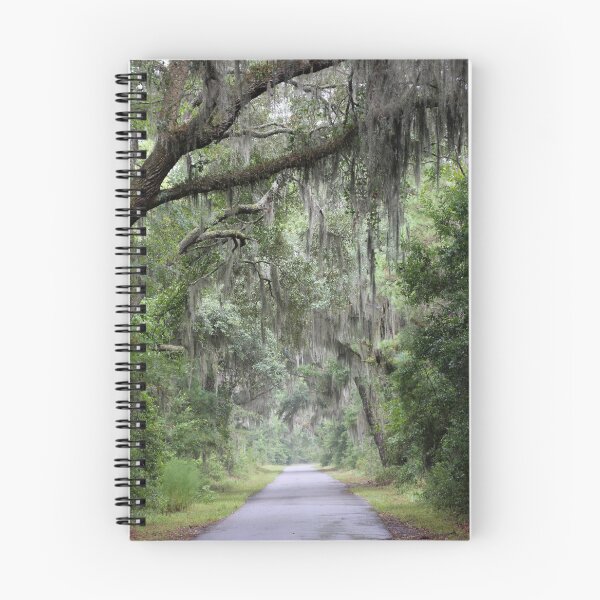 Item preview, Mossy Lane designed and sold by Autumn Seas Photography.