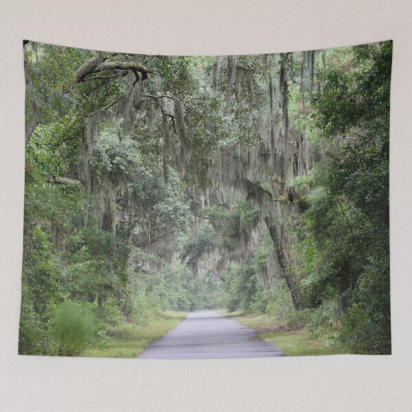 Item preview, Mossy Lane designed and sold by Autumn Seas Photography.
