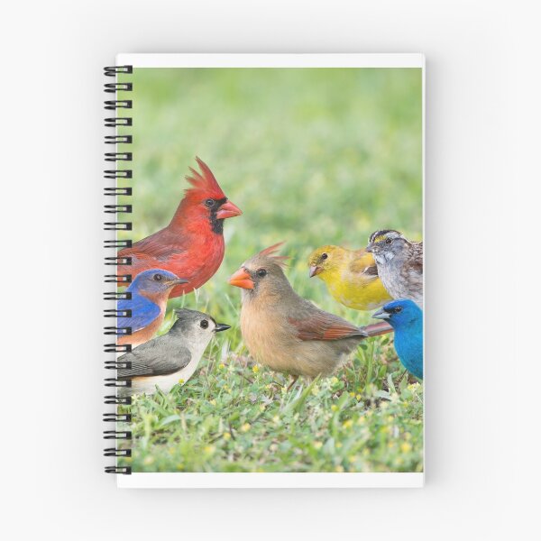 Item preview, Little Flock of Songbirds designed and sold by Bonnie T.  Barry.