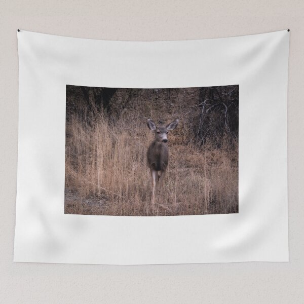 Item preview, Mule Deer In Tall Grass designed and sold by Jaime Miller.
