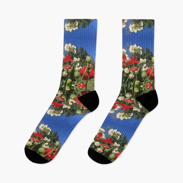Artikelvorschau, Scharlachrote Mohnblumen im Sommer, Botanische Schönheit unter blauem Himmel, RTBG, Hobart / Nipaluna entworfen und verkauft von RoseAromas.