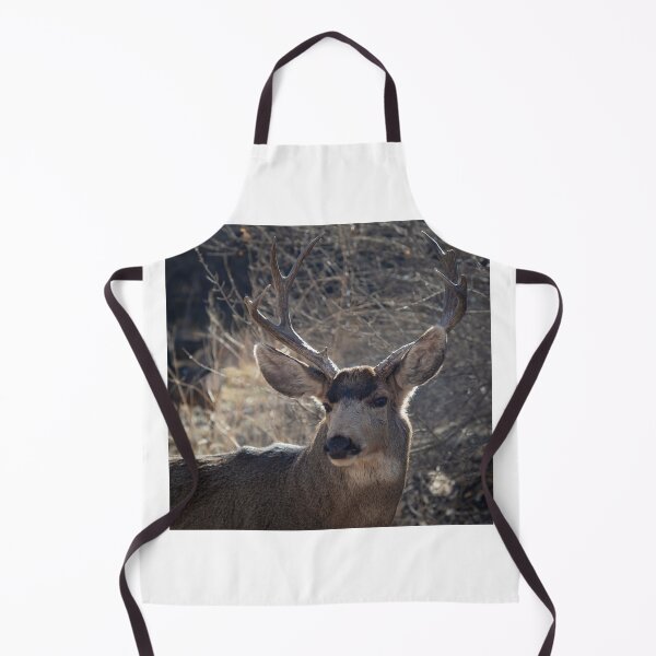 Item preview, Mule Buck At Berg Park In Farmington, New Mexico designed and sold by Jaime Miller.