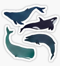 Space Whales Sticker