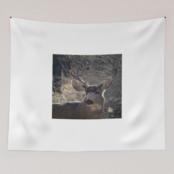 Item preview, Mule Buck At Berg Park In Farmington, New Mexico designed and sold by Jaime Miller.