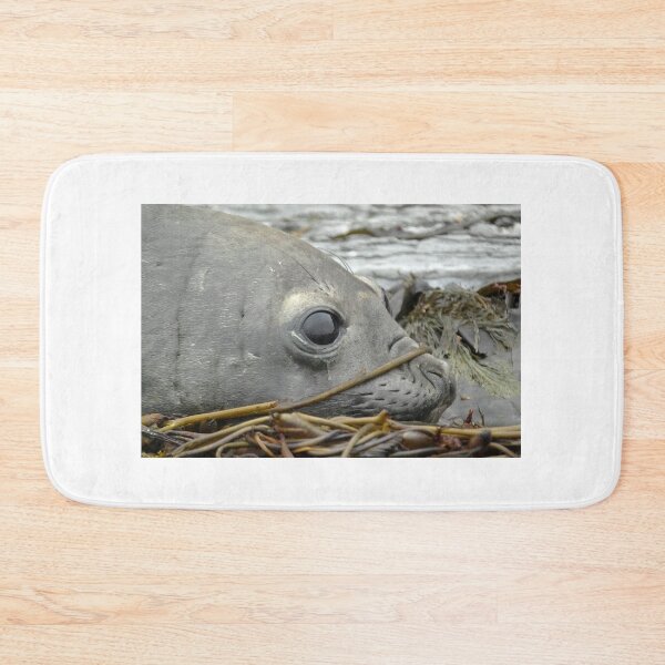 Item preview, Lazy days Falklands designed and sold by skanner30.